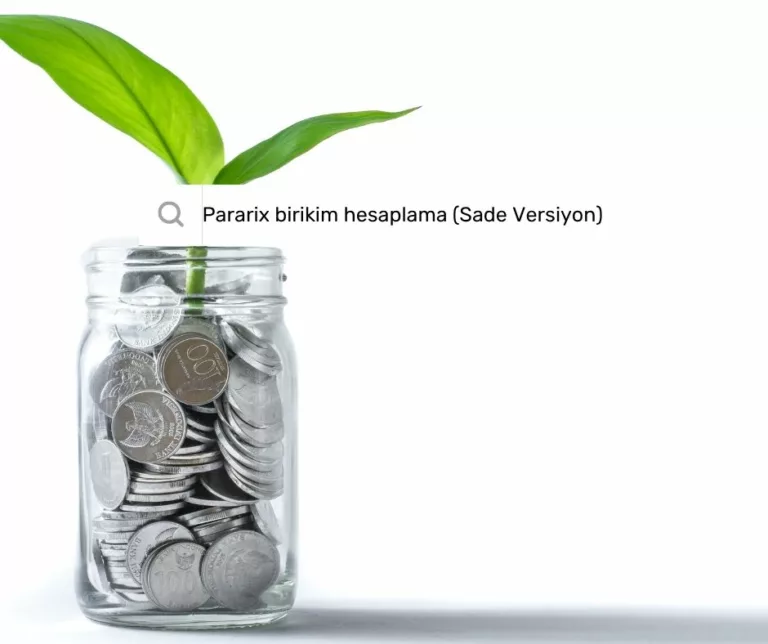 Pararix Birikim Hesaplama Aracı (Sade Versiyon)